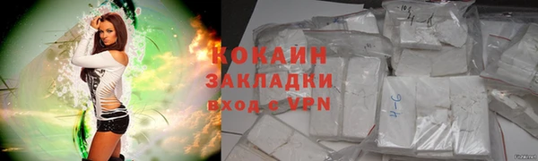 дмт Вяземский