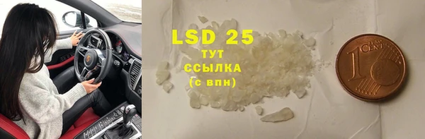 дмт Вяземский