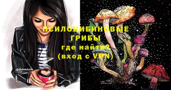 дмт Вяземский